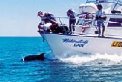 Delphine bei Busselton-SW Delphine Boot.jpg